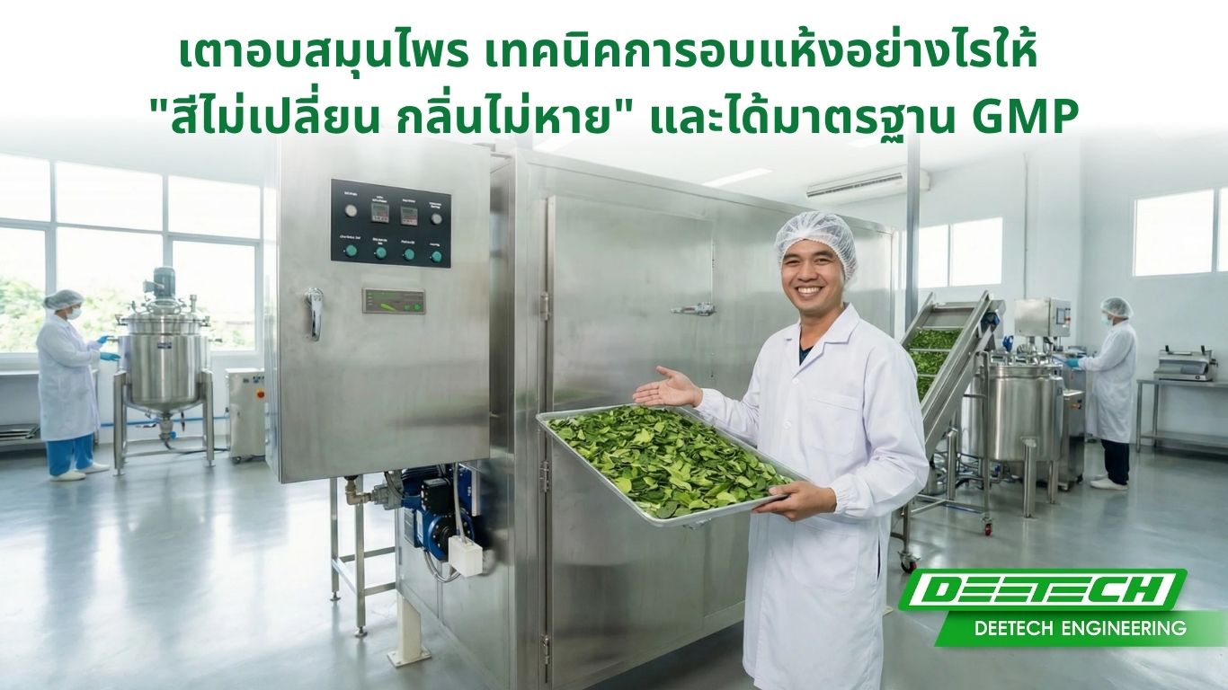 เตาอบสมุนไพร เทคนิคการอบแห้งอย่างไรให้ สีไม่เปลี่ยน กลิ่นไม่หาย และได้มาตรฐาน GMP