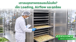 เตาอบอุตสาหกรรมอบไม่แห้ง